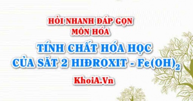 Tính chất hóa học của Sắt 2 Hiđroxit: Fe(OH)2? Hỏi nhanh đáp gọn môn Hóa